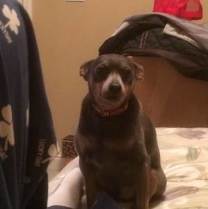 Meet your Posher, Mark